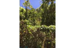 Hato Viejo, Arecibo, PR 00612