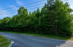Ridgeview Drive, Carroll, NH 03598