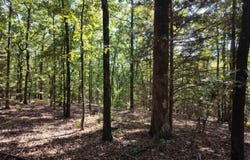 Bennett Road, Bee Branch, AR 72013