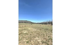 311 Rock Hill Road, Dolph, AR 72528