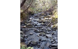 off Harry's Way, Colebrook, NH 03576