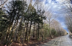 Commons Road lot: #6, Chateaugay, NY 12920