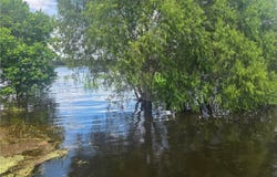 24853 Lakeview Drive, Mathis, TX 78368
