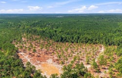 3390 Hunter Road lot: 1, Kershaw, SC 29067