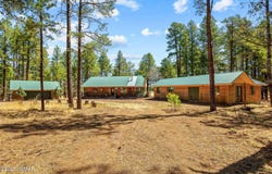 61 Co Rd 2266, Alpine, AZ 85920