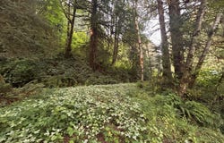 1300 W Point Drive, Nehalem, OR 97131