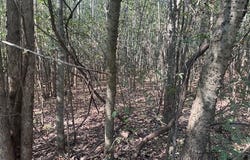 TOW BOAT Ln, Adamsville, TN 38310