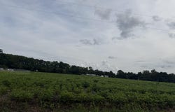 Oneal Lane, Aydlett, NC 27916