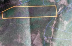 Forester CR 23, Silverton, CO 81433