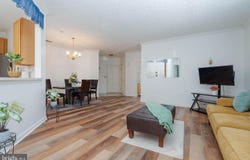5082 BRIGHTLEAF CT #5082, BALTIMORE, MD 21237