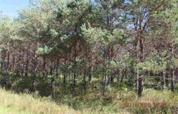 371 KLEEHAMMER CLUB DRIVE, KALKASKA, MI 49646