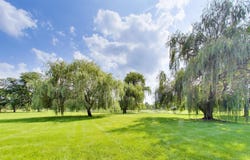 758 Moore Drive, Elk Grove Village, IL 60007