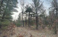7780 N Harrison Avenue, Harrison, MI 48625