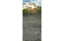 Carter Rd, Dale, TX 78616