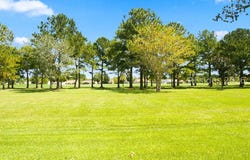 196 Landing Lane, Bluffton, SC 29909