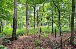 1.2 Brigham Rd, Richford, NY 13835