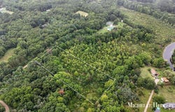 Spruce Hollow Drive, Middleville, MI 49333