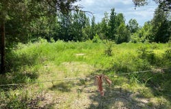 Pittman Road, Maynard, AR 72444