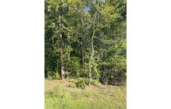 4 Salem Pond Drive, Hurdle Mills, NC 27541