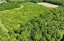 63531 Dailey Road, Cassopolis, MI 49031