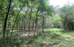 150 CR 3920, Mt Pleasant, TX 75455