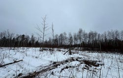 TBD #4 Koecher Road, Kerrick, MN 55756