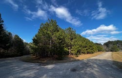 284 Leeward Drive, Hemphill, TX 75948