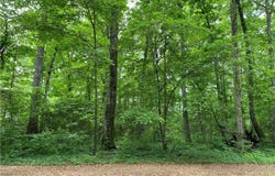 Bass Drive, Eutaw, AL 35462