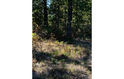 Highway Yy, Cabool, MO 65689