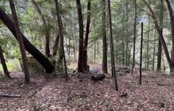 320 Coon Creek Road, Salyer, CA 95563