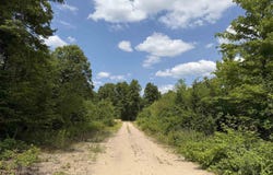 13544 Aylsworth Road, Beulah, MI 49617