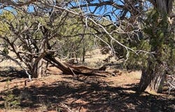 159 Circle Drive, Seligman, AZ 86337