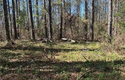 6.1 acres Bent Twig Lane, Brookwood, AL 35444