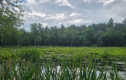 Williams Rd, Gouverneur, NY 13642