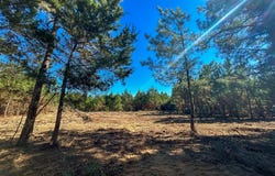6 County Road 3121, Long Branch, TX 75669