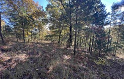 Hwy 254, Leslie, AR 72645