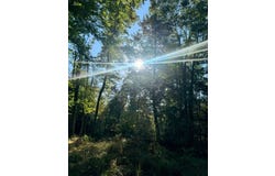Elliott Road, HICO, WV 25854