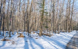 2568 Juniper Ridge Rd, Baileys Harbor, WI 54202