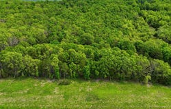 23736 State Highway 5, Wasola, MO 65773
