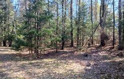 371 Carding Machine Road, Bowdoinham, ME 04008