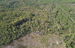 0 Airport Grade Road, Perry, FL 32348