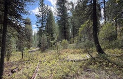 48 Rehn Loop lot: 5, Cascade, ID 83611