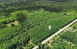 Turtle Road, Turner, MI 48765