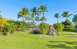 5-7538 KUHIO HWY, Haena, HI 96714