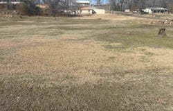 4949 HWY 70 W, Daisy, AR 71950