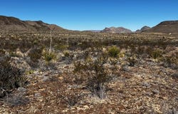 24387 Echo Str., Terlingua, TX 79852