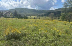 38 Waterfront Drive, Davis, WV 26260