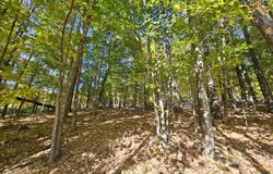 R-5 13-A Norton Hill Road, Strong, ME 04983