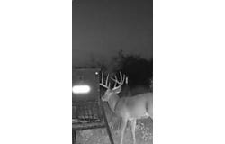 Texas 92, Hamlin, TX 79520