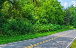 Sweet Creek, Eidson, TN 37731